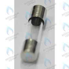 9950580 Предохранитель плавкий (2 А- 250 В) BAXI