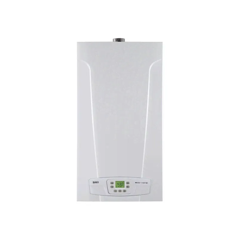 Газовый котел BAXI ECO HOME 24F-0